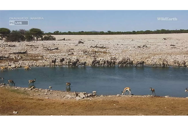 wildearth-hd-lansira-nesifrovane-probne-emisije-na-astra-28.2°-east